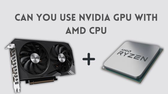 Can You Use Nvidia GPU with AMD CPU?